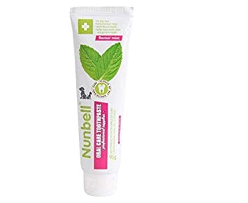 NUNBELL ORAL CARE TOOTHPASTE, MINT, 95 G
