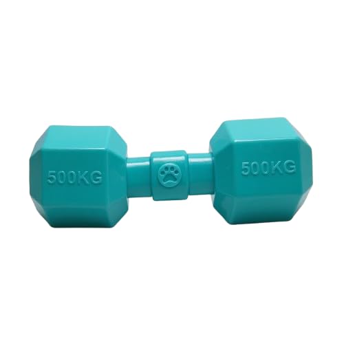 Light Weight Squeaky Dumbbell Toy for dogs (Turquoise)