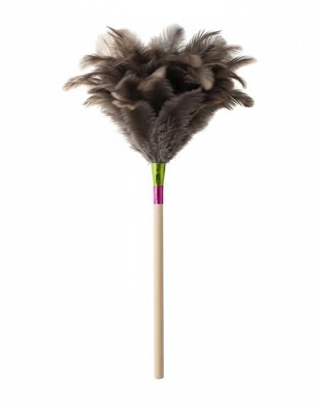 Original Generic Feather Feather (Duster)