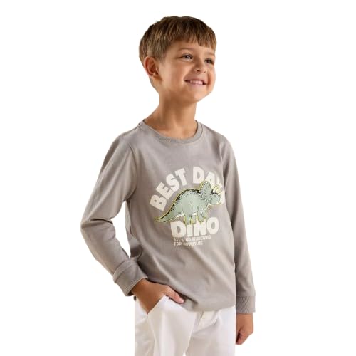 Max Boys Printed Sweatshirt Grey 2-8 Years