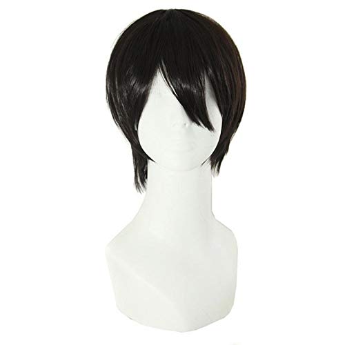 ECIF Short Hair Wig For Men Black