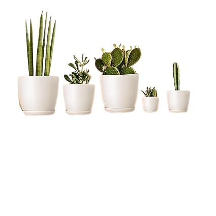 Home Plant Pots Decorative Pot Plastic Flower Pots Plastic Pots for Indoor Plants Flowers Cactus Succulents Flower Pots 14 cm 10pcs