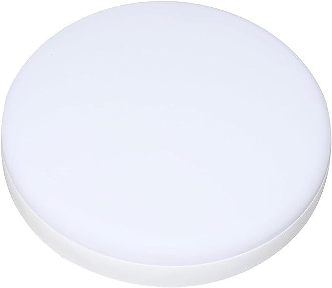 Modern LED Flush Mount Ceiling Light - Round Minimalist Design - Pelfonira Panel LED 36W (36, Watts)