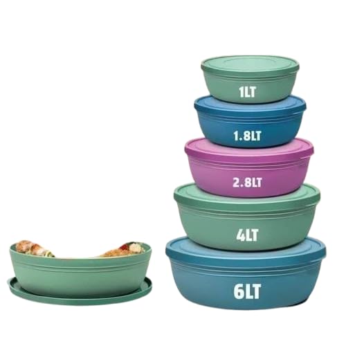 Flat Bowl Set 5 Assorted Sizes for Preparing and Preparing Home Recipes with High Quality Materials bk