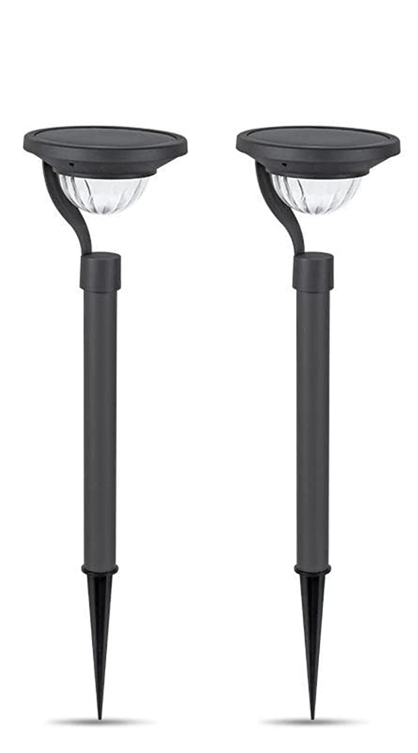 SUN POWER Outdoor Decoration Lights Super Bright Solar LED Garden Lights WITH REMOTE, 2pack