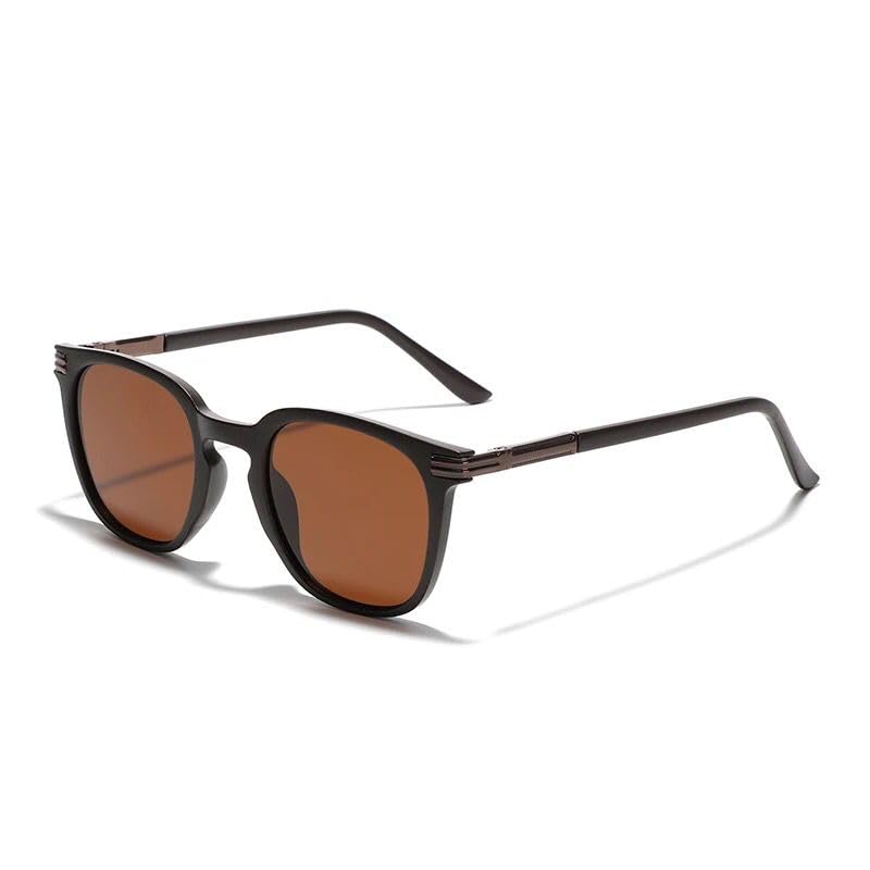 torney sunglasses