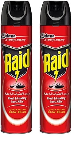 Raid