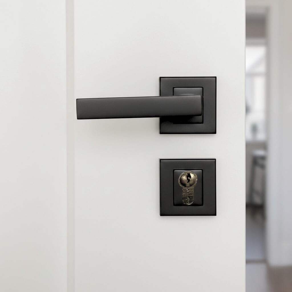 Lama Rosetta Cylinder Door Handle Sleek Modern Design with Unmatched Durability in Black