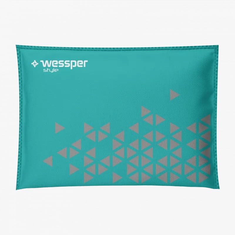 Wessper AquaDryer Style Car Dehumidifier, 300g, Reusable for 24 Months, Anti-Moisture Protection for Vehicles