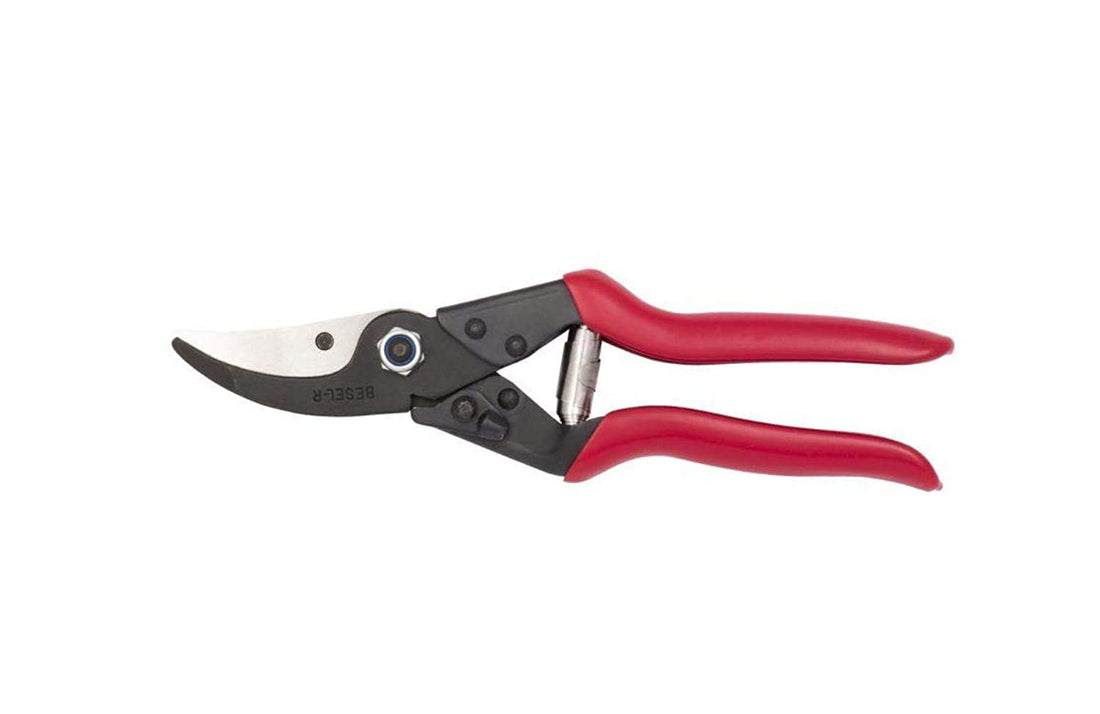 Titanium Scissors - Turkish