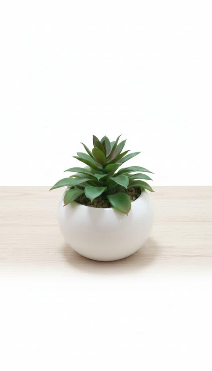 Artificial Succulent Plant in White Ceramic Pot, Modern Indoor Decorative Plant, Green and White, 12 x 12 x 13 cm, for Home and Office
