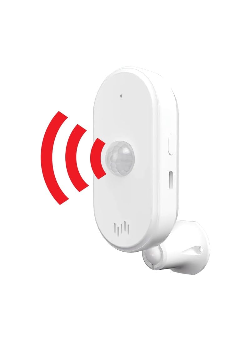 Motion Sensor With Siren
