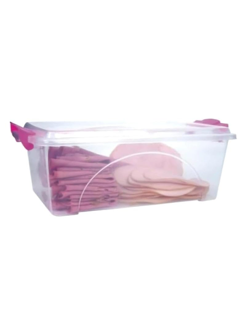 Plast Queen Container Clear Storage Plastic Box