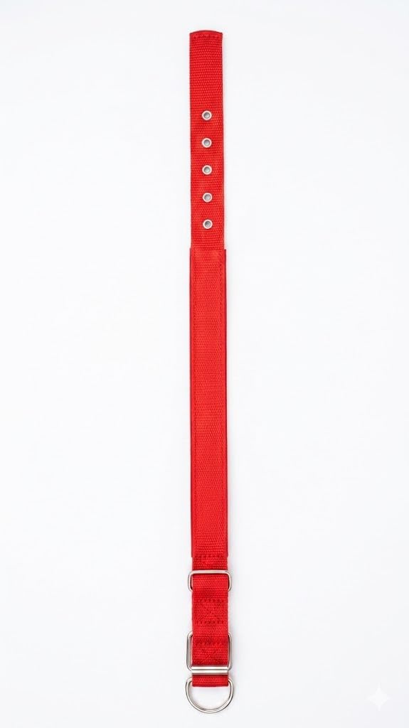 Adjustable Red Nylon Dog Collar, Large, Metal D-Ring, Multiple Holes for Secure Fit