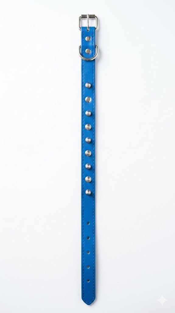 Blue Leather Dog Collar with Silver Studs, Adjustable Buckle and D-Ring, Large Size