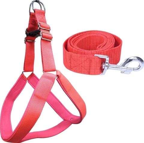 Premium Dog Harness and Leash Set, Adjustable Nylon Padded Body Harness with Matching Lead for large breed up to 40KG(Red)