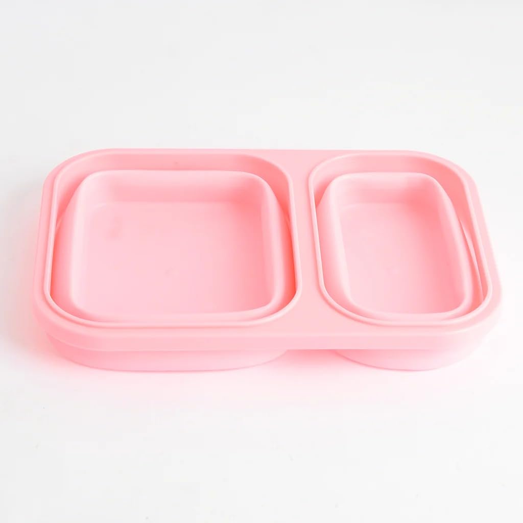 Flexible Silicone Homework Divider Box - High Quality Healthy for Microwaves, Washing Machines, Ideal for School, Work, Travel - Unique Design and Easy to Clean Generic