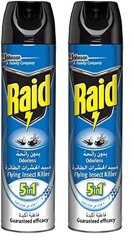 Raid