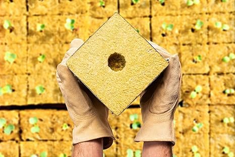 Stone Wool Planting Cubes - 12 Blocks - Optimal Hydroponic Growing - Premium Rock Wool Grow Cubes for Healthy Plant Development 10CM)