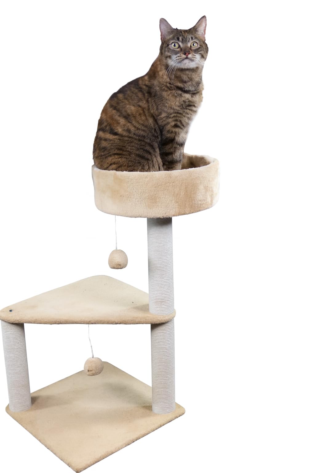 Cat Tree Tower for Indoor Cats, Multi-Level Climbing Frame with Scratching Posts, Plush Perch, Dangling Toy & Sisal Rope, Cat Furniture Activity Center – Pets House & Care, 78cm Height (Beige+ white)