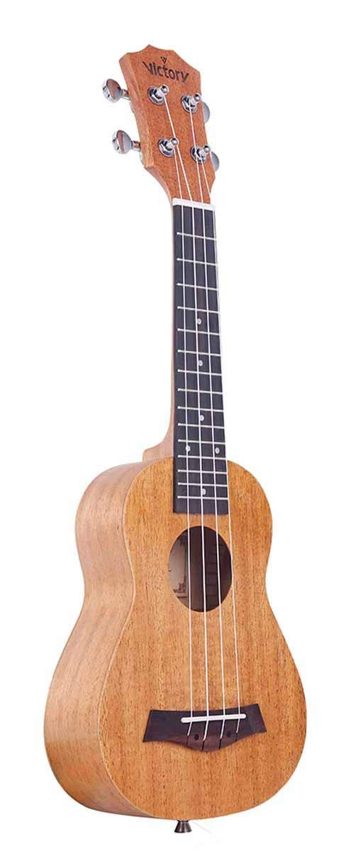 Ukulele Concert Mahogany Aquila strings - Beginner Kit: Straps Bag Picks Tuner
