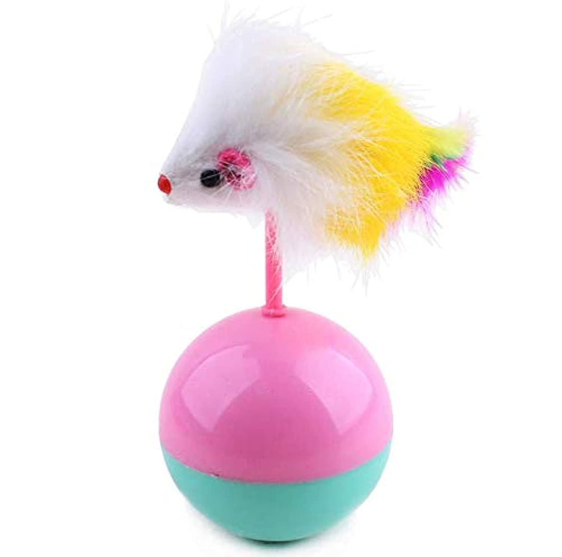 Interactive Roly-poly Cat Toy and Feather Mouse