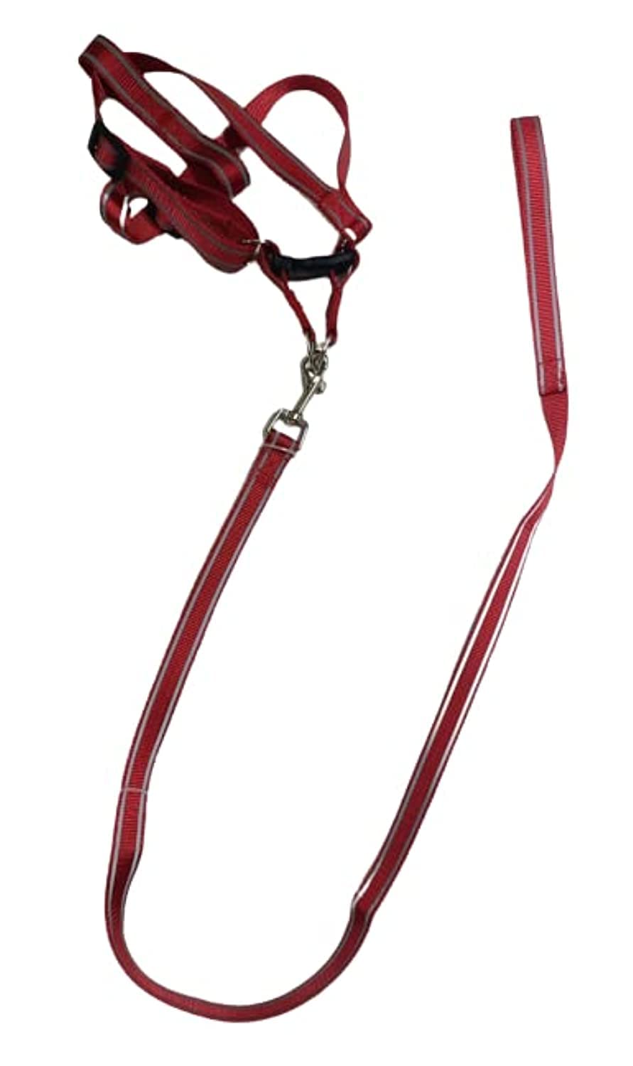 Dog Harness and Leash -Red & Black -Medium