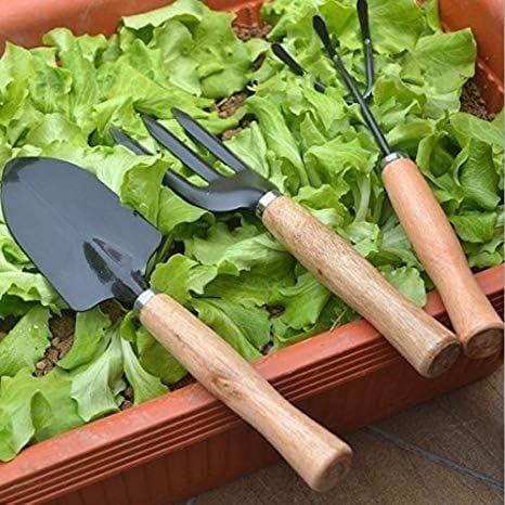 Garden Tool Set, 3 Pieces, Wooden Handle, Shovel and Planting Fork, Black
