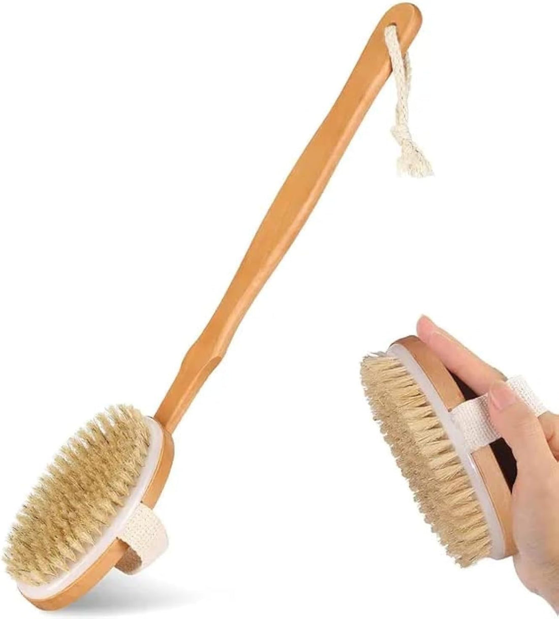 Dry Brush | Back Brush | Bath Brush for Women | Brown | Natural Bristle | Remove Dead Skin | Dry Brushing Body Brush | Dry Body Brush | Pack of 1