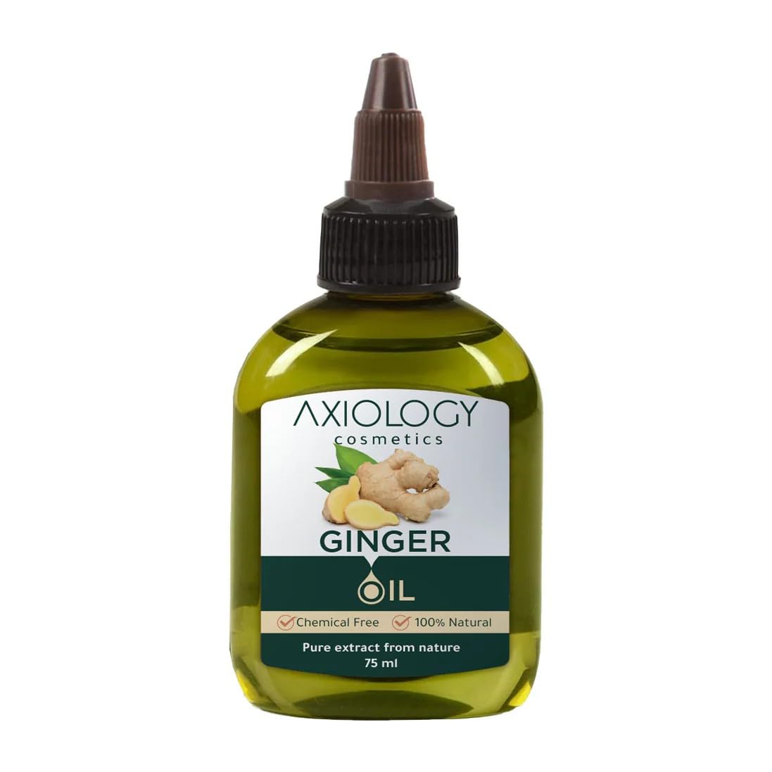 Axiology Ginger Oil, 100% Natural Pure Ginger Extract, Chemical-Free, 75 ml