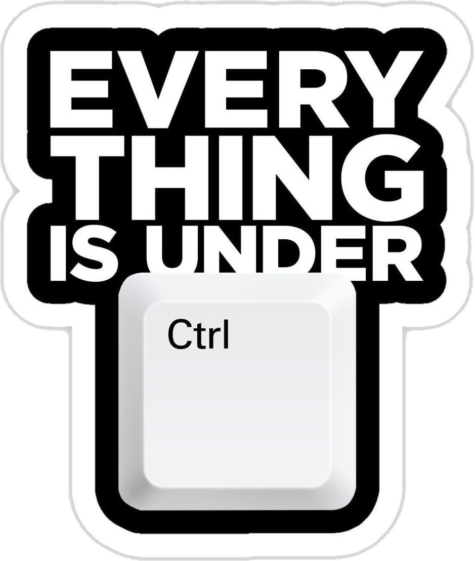 Everything is Under Ctrl Vinyl Sticker, Waterproof Laptop Decal, Computer Keyboard Theme, Black and White