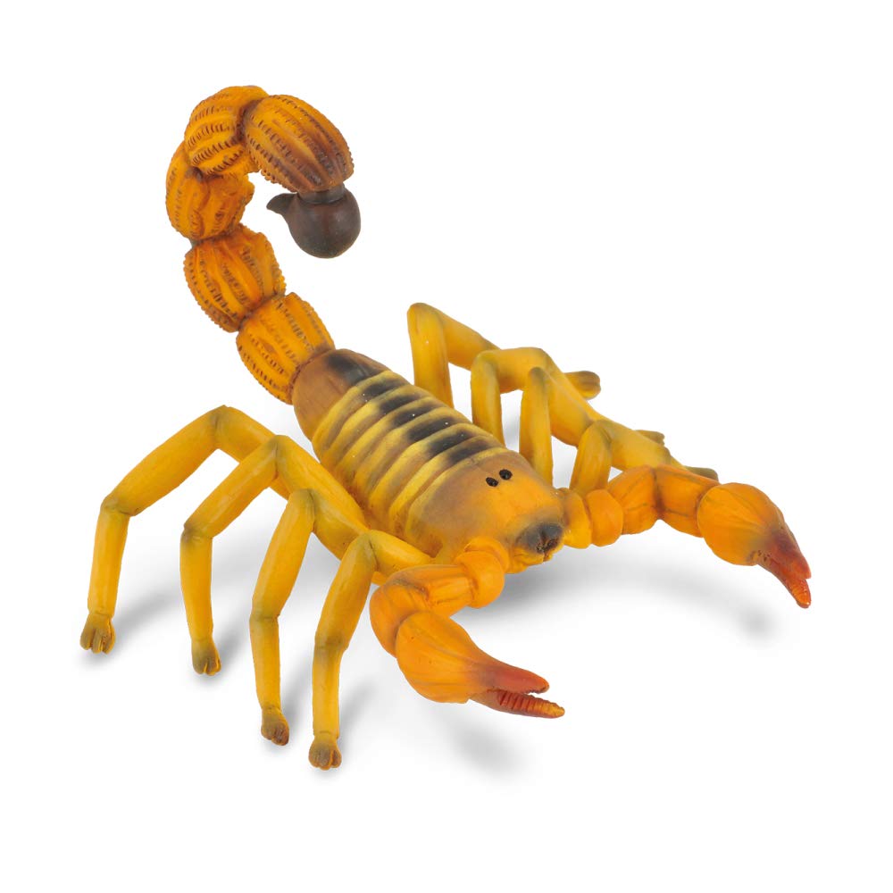 Collecta Fat Tailed Scorpion Toy, Yellow