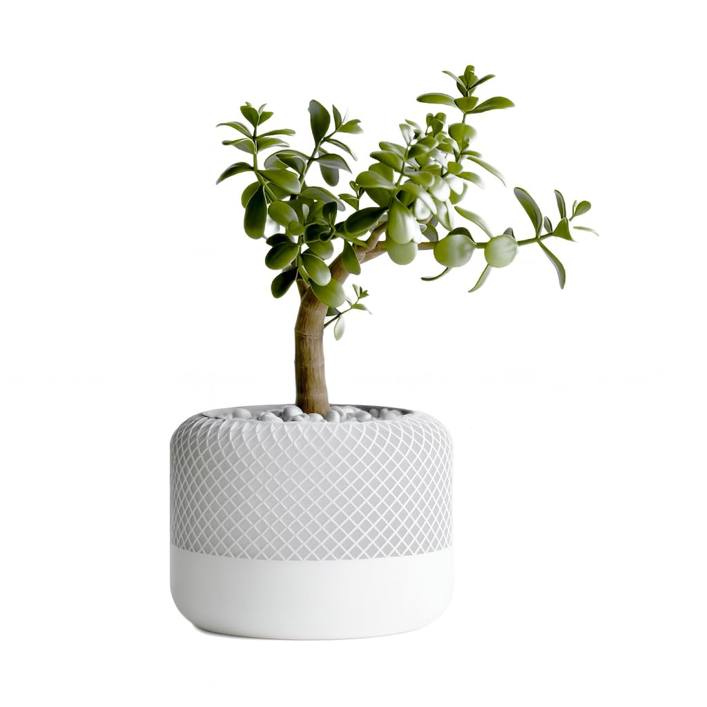 Home Pod Style Plant Pot and Vase, 3D Printed Succulent Planter, Indoor Desktop Decor, Modern Geometric Flower Pot with Drainage (Round_White)
