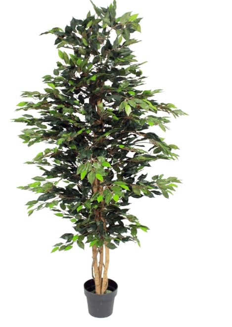Blooming Artificial - Ficus Tree Artificial Plant, Large Fake Plant in Pot for House and Indoors, Year Round Decorative Realistic Faux Foliage (Green) (180cm/ 6ft)