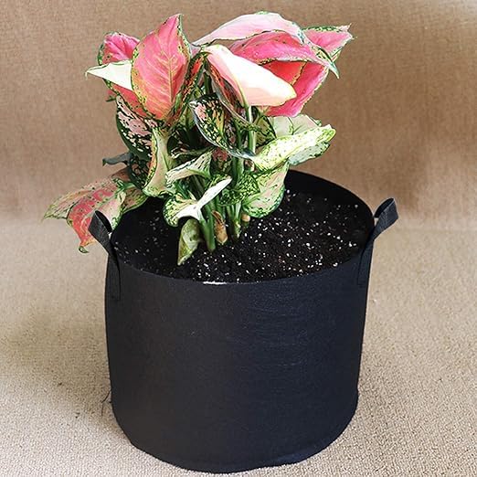 8-Pack Vegetable/Flower/Plant Grow Bags with Handles, 1/2/3 Gallon Aeration Fabric Pots/Grow Containers for Vegetable/Flower/Nursery(black,1)
