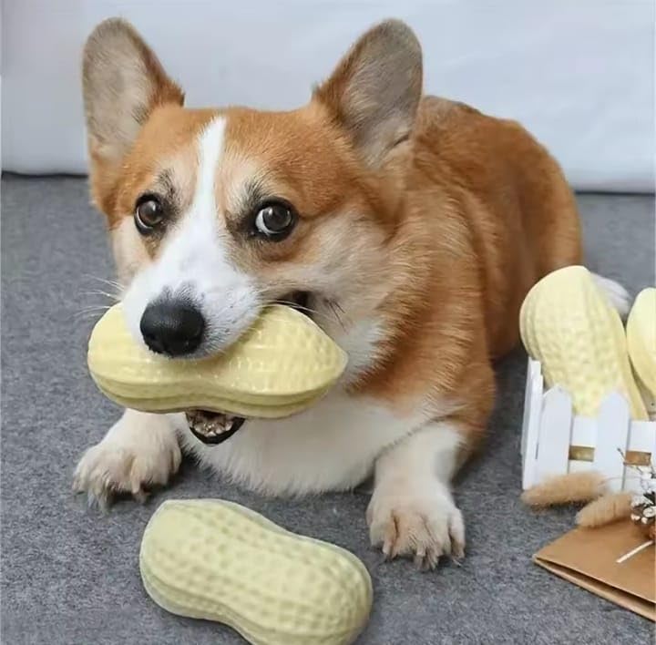 Interactive Dog Chew Toy, Peanut Shaped, Durable Rubber, Teeth grinding for Small to Medium Dogs,one piece
