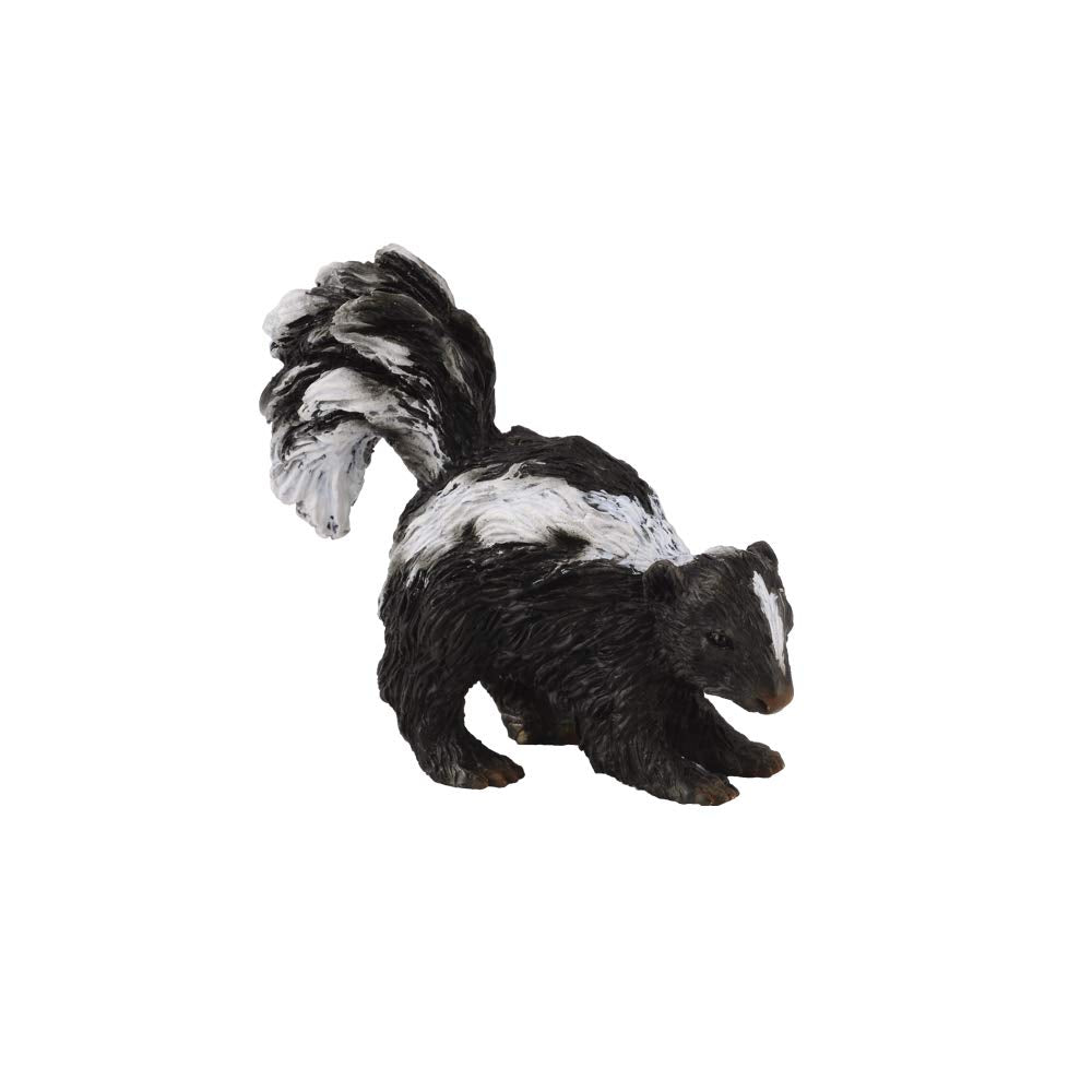Collecta