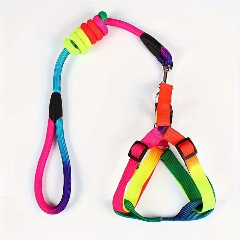 Colorful Rainbow Dog Harness and Leash Set – Adjustable No-Pull Reflective Nylon Vest with Comfort Chest Strap for Small, Medium, and Large Dogs (Medium and Large Dog)