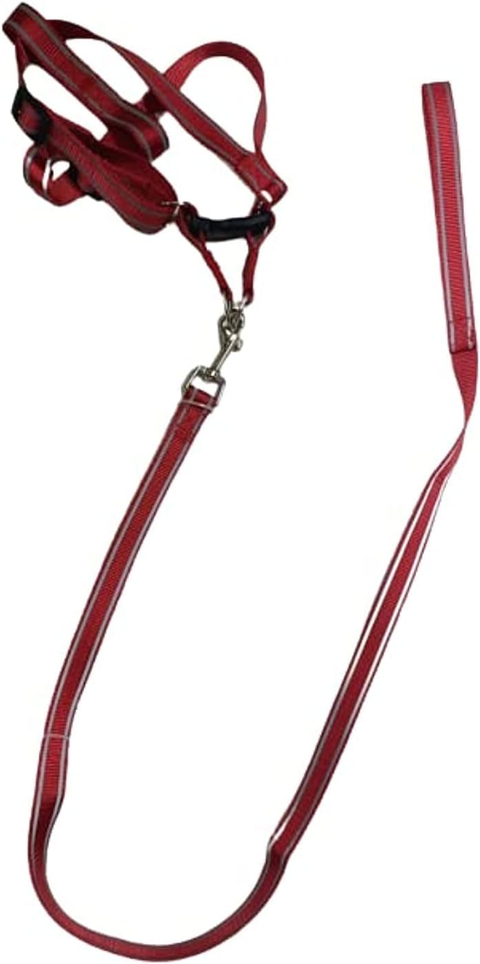 Durable and stylish dog harness and leash set (Red & Reflective Grey, Medium)
