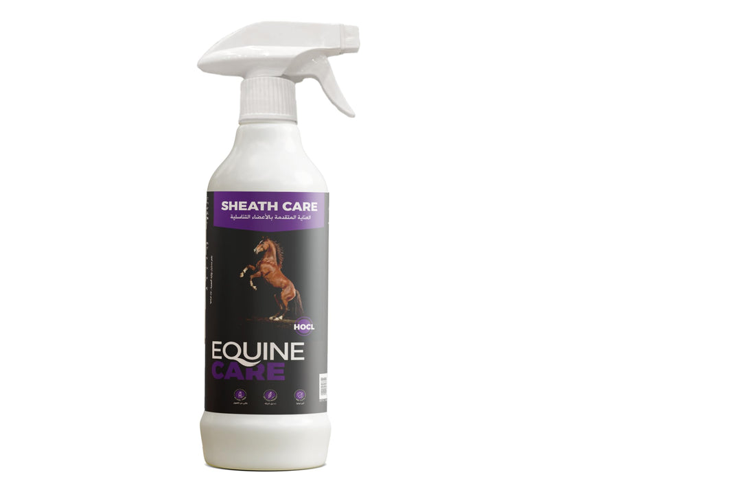 EQuineCare – Sheath Care (500ML)