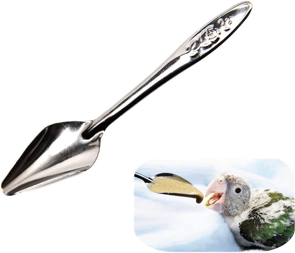 NKD 10 PCS Bird Feeder Spoons Stainless Steel Milk Medicine Parrot Feeding Scoops Hand Feeding Spoons for Peony Cockatiel Parrot