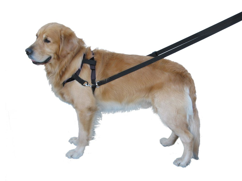 Nobby Top Walk Harness for Dog, 74 cm, Black