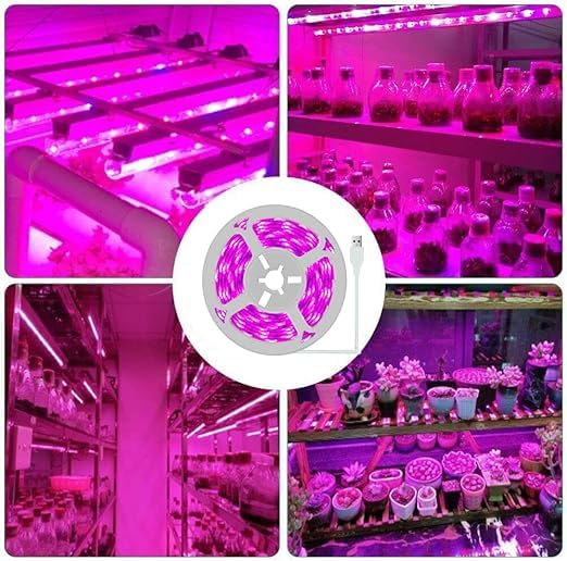 Myrian 12v Plant Growing Light Strips LED Grow Light Waterproof Grow Light All Spectrum Grow Lamp for Indoor Hydroponics Greenhouse Gardening Acrylic No Plug