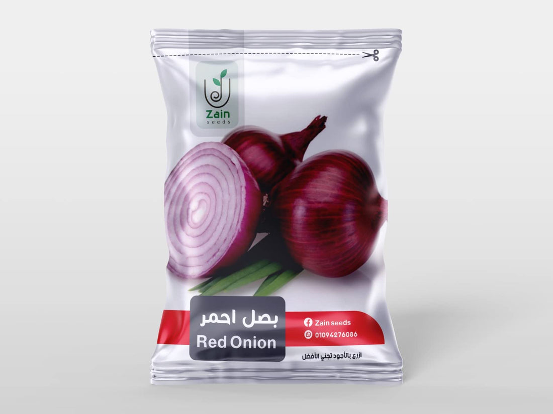 بذور بصل احمر من زين سيدز