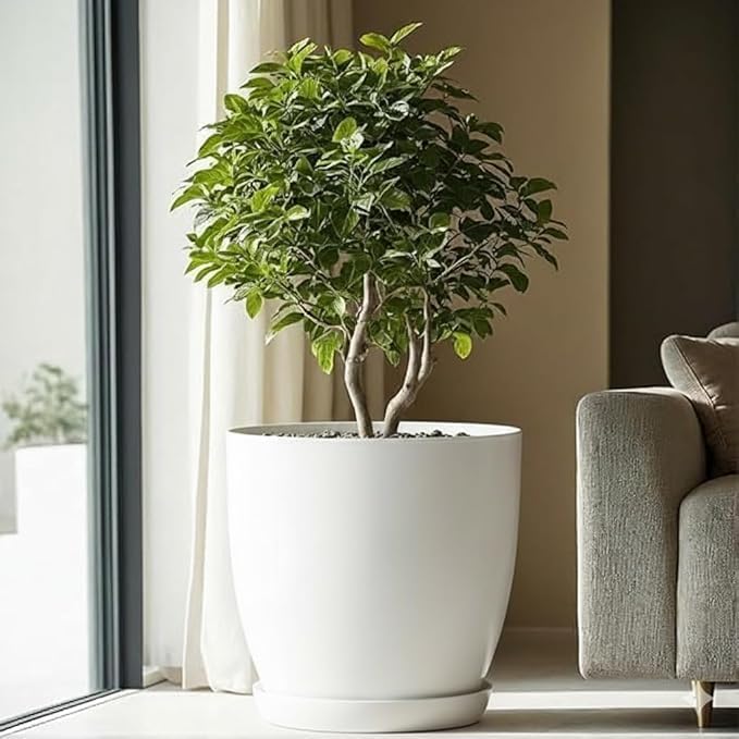 Generic White Plastic Plant Pot, Size 30 cm, Round, Indoor and Outdoor Use, Modern Style