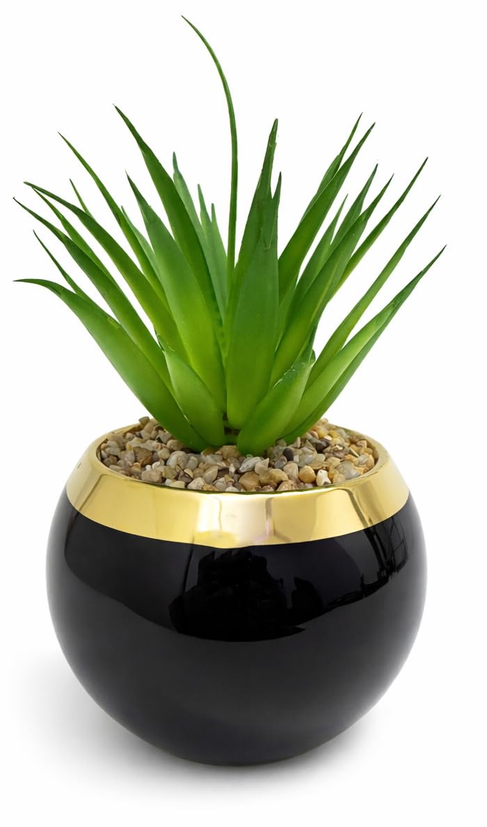 Realistic Artificial Cactus Plant in Round Ceramic Pot with Gold Rim, Modern Decor for Home, Office, Tables - (Modern Style) (Black)