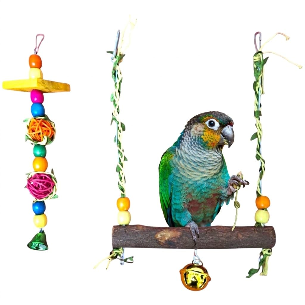 2pcs Bird Set Accessories for Bird Cage (Bird Swing HI 30, W 22 CM -Bird Toy HI 25 CM)
