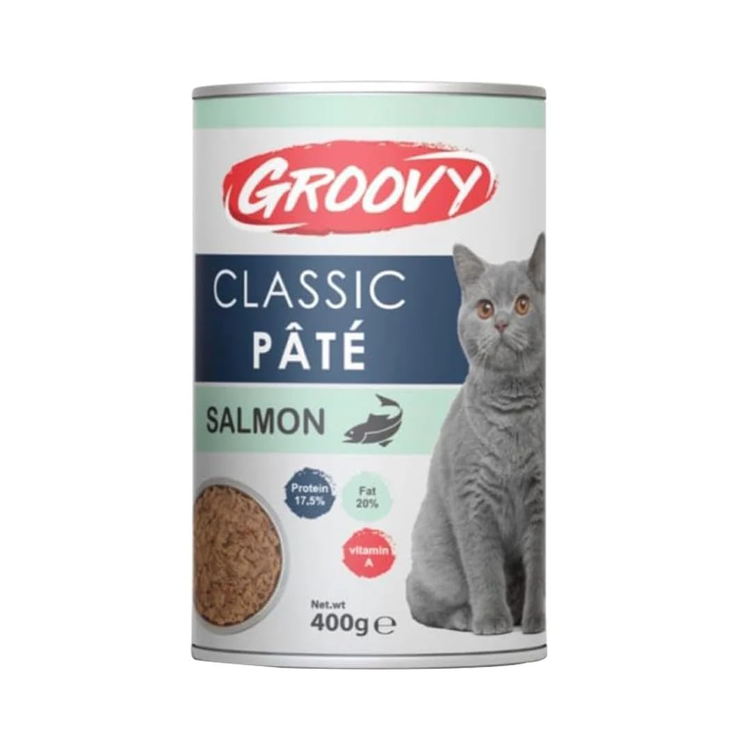 GROOVY SALMON CAT 400GM