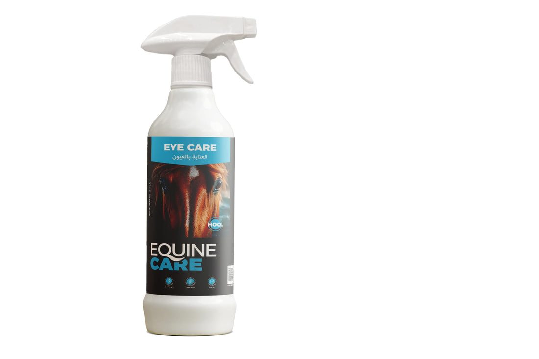 EQuineCare – Eye Care (500ML)