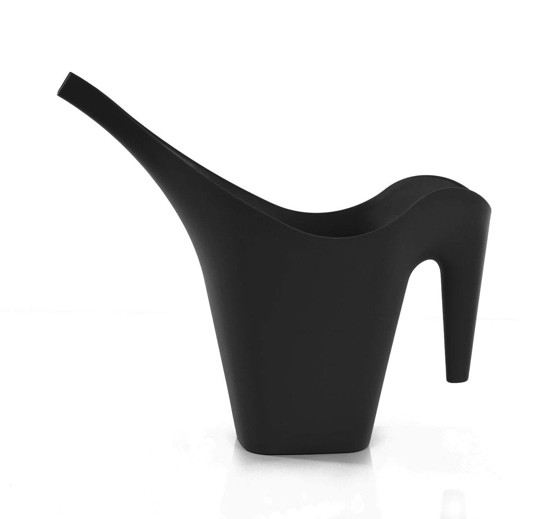 Mintra 1/2 Gallon Plant Watering Can, Indoor Outdoor Water Can for Plants, Long Spout Plastic Water Pitcher for Watering Flower Succulent, Durable and Lightweight, 2L/68 oz, 1 Pack, Black
